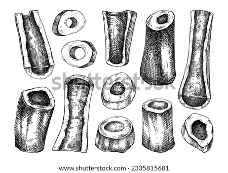 Big marrowbone with meat sketches set. Raw bones isolated on white background. Hand-drawn healthy food illustration for butchery, recipes, menu in vintage style.  Royalty-Free Stock Photo #2335815681
