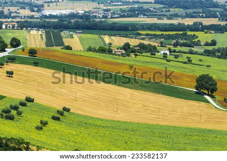 Landscape near Macerata (Marches, Italy) at summer