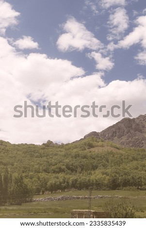 Mountains in clouds at sunrise in summer. Aerial view of mountain peak in fog. Beautiful landscape with high rocks, forest, sky. Top view from drone of mountain valley in low clouds. Foggy hills. 