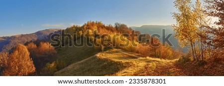Picturesque autumn morning in the mountains. Golden foliage of the October forest. Sunny autumn in the Carpathians