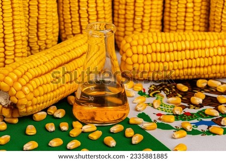 Mexico flag, laboratory beaker and corn kernels. Agriculture trade GMO ban, imports and exports concept. Royalty-Free Stock Photo #2335881885