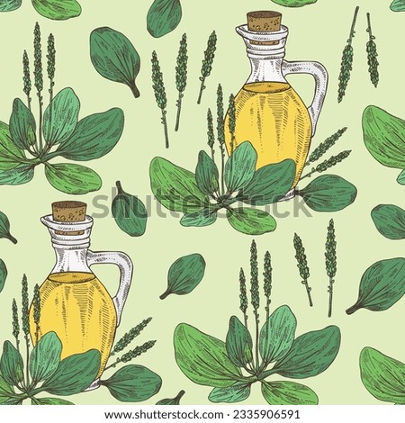 Seamless pattern with large plantain: large plantain plant, leaves and bottle of large plantain oil. Plantago major Vector hand drawn illustration Royalty-Free Stock Photo #2335906591
