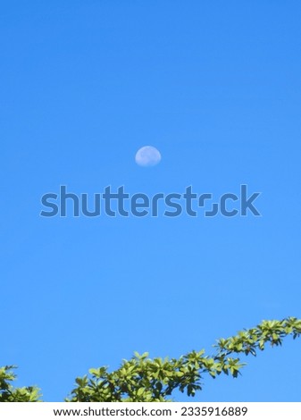 midday moon in the sky