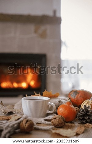 Warm cup of tea, pumpkins, autumn leaves, cozy scarf on rustic wooden table on background of burning fireplace. Hygge fall home, rural banner. Autumn still life. Happy Thanksgiving
