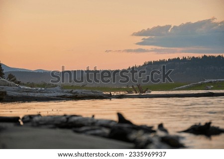 At ground level on large white sandy beach large lake full of large white wooden logs small grassy islands orange sunset large white clouds over the mountains Royalty-Free Stock Photo #2335969937
