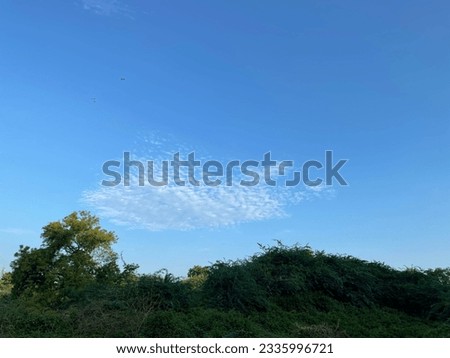 White clouds in blue sky above beautiful greenery
