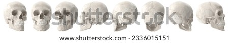 3d rendering of a skull on blank background Royalty-Free Stock Photo #2336015151