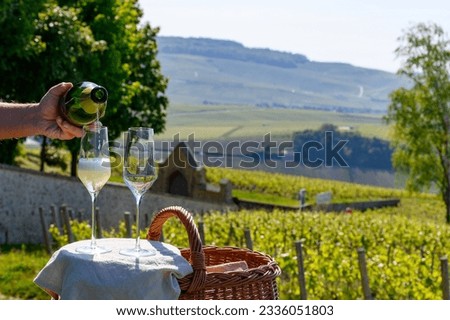 Tasting of premier cru sparkling white wine champagne with view on green pinot noir, meunier vineyards of Hautvillers, Champagne, France Royalty-Free Stock Photo #2336051803