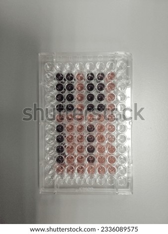 The colors result of cell cytotoxicity  (cell viability) analysis in 96 well plate