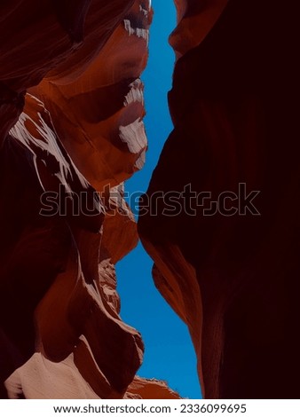 Grand Canyon and Arizona, Nevada, Las Vegas, USA 2023 desert