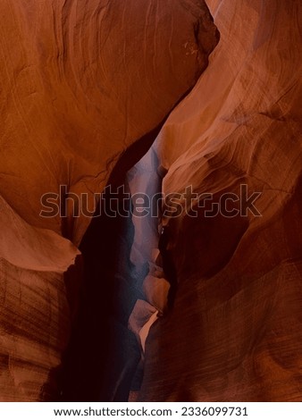 Grand Canyon and Arizona, Nevada, Las Vegas, USA 2023 desert