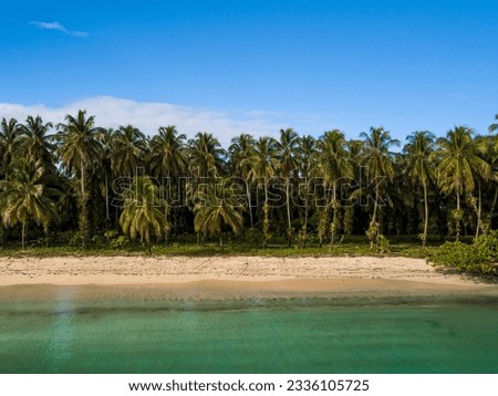 Desert tropical beach. Zapatilla island, Bocas del Toro, Panama - stock photo Royalty-Free Stock Photo #2336105725
