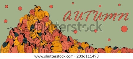 harvest of ripe orange and yellow pumpkins, mound