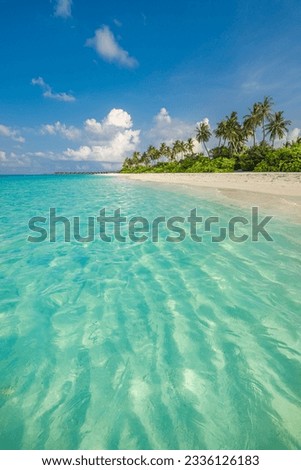 Maldives island beach. Tropical landscape of summer coast. Closeup sea waves white sand palm trees. Luxury travel vacation destination. Exotic beach landscape. Amazing relax freedom nature wallpaper