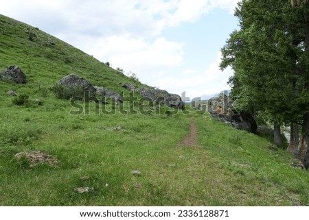 Summer mountain landscape with green grass, rocks and blue sky with clouds