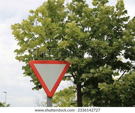 Yield sign hidden under the branches of a tree