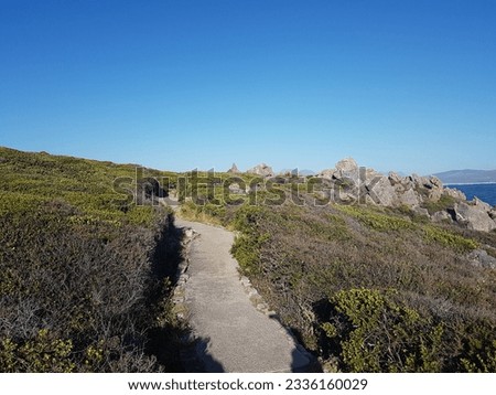 Coastal pathway with thick vegetation,  rocks and blue sky in Kleinmond,  Western Cape, South Africa