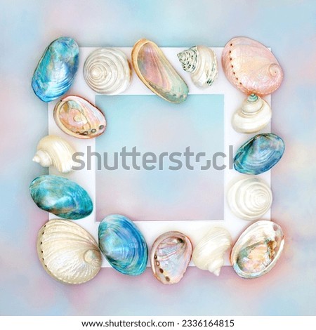 Mother of pearl and natural seashell border decoration on rainbow sky background. Seaside summer art sea life nature design.
