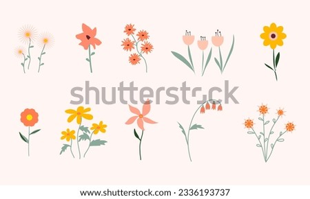 Floral collection. Set of different flowers isolated. Floral bouquet, flower compositions. Set of floral branch. Spring vector flowers. Royalty-Free Stock Photo #2336193737