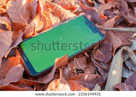 Smart phone with green screen over the dry leaf on forest. The photo is suitable to use for ecommerce advertising, environmental content media.