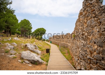 Old ancient ruins of historic building, wall and a tree trunk in foreground. Part of Alanya castle, Turkey. High quality photo