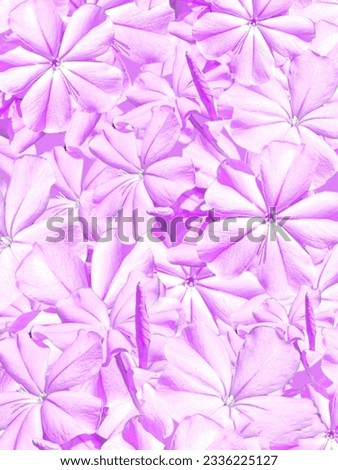 floral background or floral pattern design