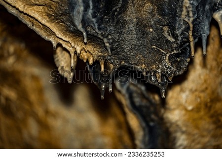 Stalactites of various bizarre shapes hanging along the walls and ceilings of a natural cave, water droplets hang on the tips of limestone formations.