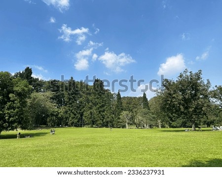 people enjoy a green view in the public park 