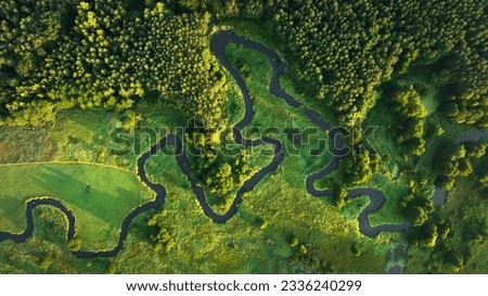 Natural river between the forest - aerial high view 