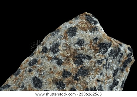 Dalmatian jasper stone 1:1 magnification