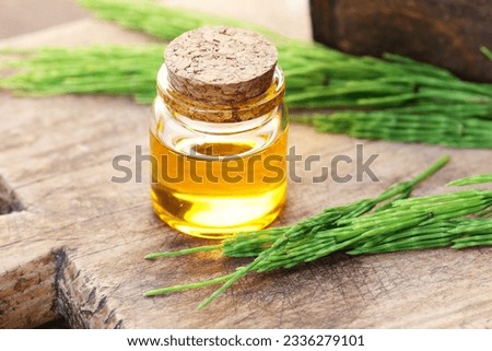 Horsetail oil or extract in glass cup with fresh leaf on wooden rustic background, closeup, natural treatment for hair and skin care, source of silica, detox and bone osteoporosis remedy Royalty-Free Stock Photo #2336279101