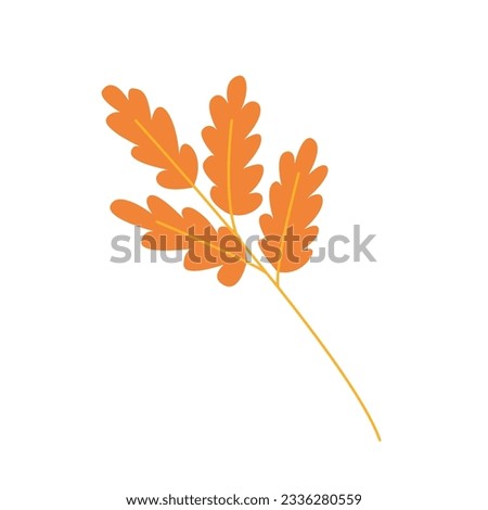Cartoon oak tree leaf vector illustration