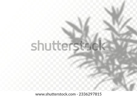 Realistic shadow tropical leaves and branches on transparent checkered background. The effect of overlaying shadows. Natural light layout.