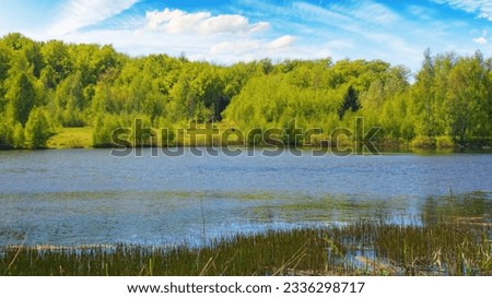 scenery with forest pond. forest reflecting in the water surface. warm april weather