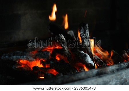 Wooden logs are burning in the fireplace. close-up. Tongues of flame on a dark background.