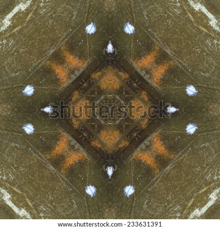 Seamless pattern made from colorful Butterfly wing. texture background 