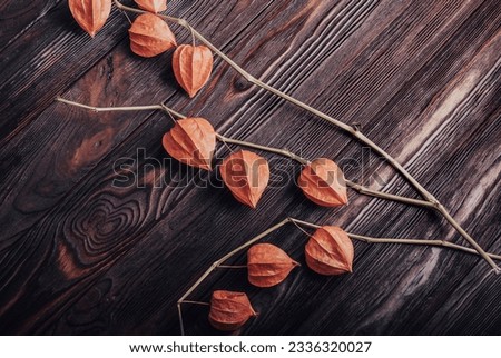 Bouquet of dried flowers on a wooden background. Physalis - ornamental plant. Flower orange lantern. Stylized photo