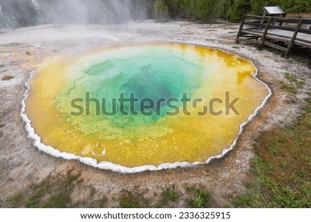 Morning Glory Pool, landscapes, wild nature, geysers and hydrothermal features of Yellowstone National Park, Wyoming, USA Royalty-Free Stock Photo #2336325915