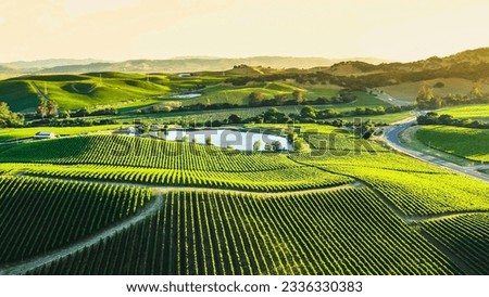 Vineyards and winery on sunset. Vineyard agricultural fields in the countryside, beautiful aerial landscape  Royalty-Free Stock Photo #2336330383