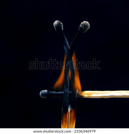 Flashed and burning wooden match on a dark background close-up. Bright fire and smoke from a burning tree.