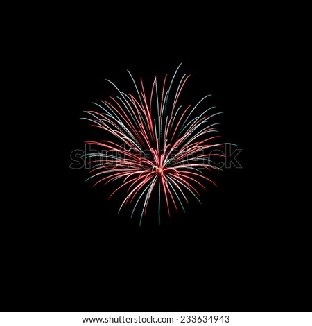 Firework in celebration night