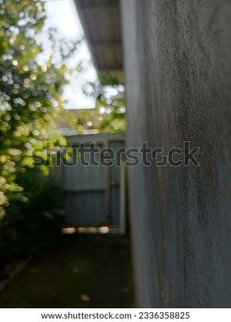 The blurred background showcases the side of a house with a wall, providing depth and focus to the main subject, while adding structure to the composition. Royalty-Free Stock Photo #2336358825