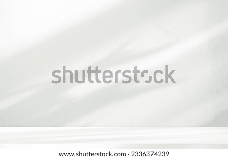 Empty studio interior background and backdrop and product display stand with shadow and white leaves on blank text background for inserting text.