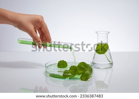 Minimalist scene for advertising cosmetic product of gotu kola extract on white background. Female hand holding a test tube of green liquid and pouring it into a petri dish.