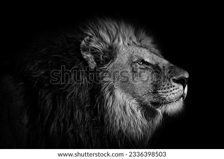 Majestic Splendor: Captivating Lion Art in Stately Brilliance Regal Brilliance: Captivating Lion Artwork." Royalty-Free Stock Photo #2336398503