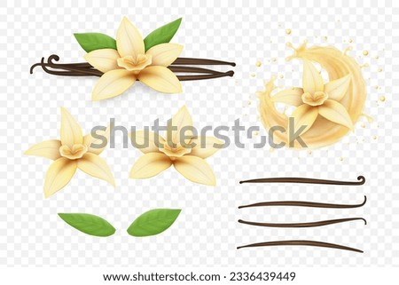 Vanilla flower. Milk splash, bean, pods and sticks, realistic isolated on transparent background elements, flavour cream, perfume aroma, liquid drops. Food and cosmetics packaging. Vector set Royalty-Free Stock Photo #2336439449