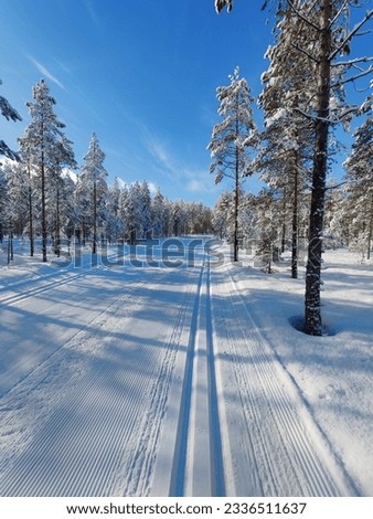 Snowy winter scenery, trees and tracks on snow. Beautiful sunny day with blue clear sky shots in Lapland, Finland. Nice clear weather in winter time.
