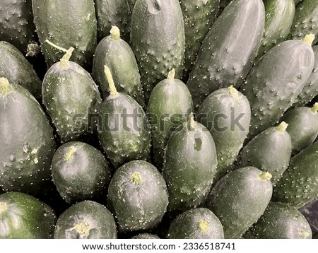 Macro Photo food cucumbers. Texture pattern background green cucumbers. Image fresh green cucumbers Royalty-Free Stock Photo #2336518741