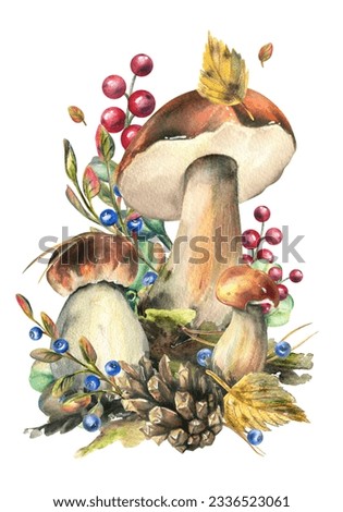 Mushrooms forest boletus with grass, blueberries, moss and cone. watercolor illustration, hand drawn. Isolated composition on a white background.
