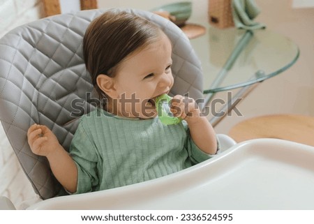 Cute little baby nibbling teether in high chair indoors Royalty-Free Stock Photo #2336524595